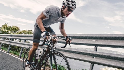 SEGURO BIKES ARGO PROTECTOR